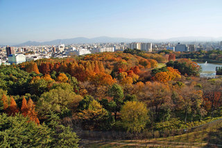 DSC01614.jpg