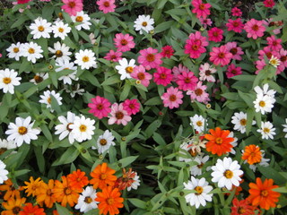DSC05596.JPG