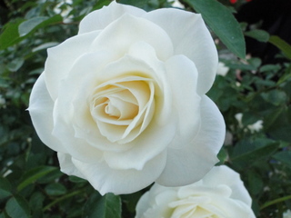 DSC05916.JPG