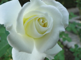 DSC05934.JPG