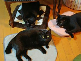 DSC07071.jpg