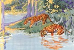 今年は、寅年