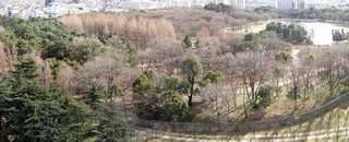 DSC00116.jpg