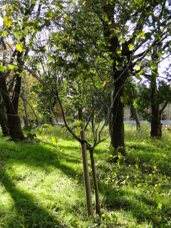 DSC00732.JPG