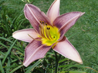 DSC01039.JPG