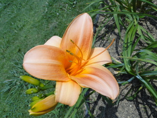 DSC01041.JPG