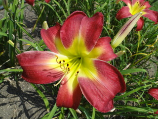 DSC01047.JPG