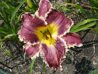 DSC01050.JPG