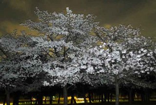 DSC01115_edited-1.jpg