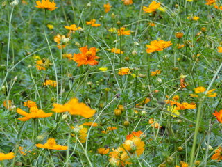 DSC01629.JPG