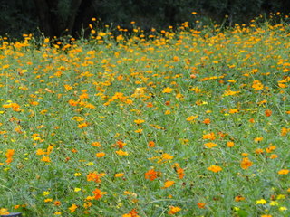 DSC01647.JPG