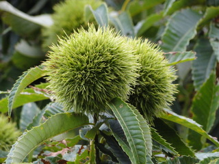 DSC01686.JPG