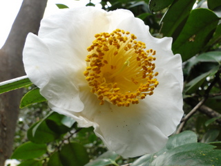 DSC01731.JPG