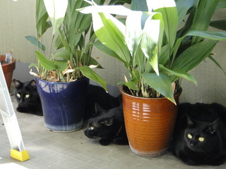 DSC01787.JPG