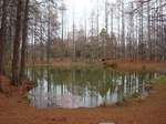DSC04255.jpg