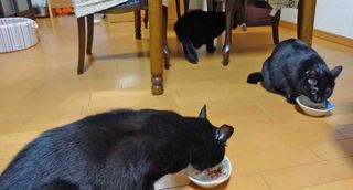 DSC0586455.jpg