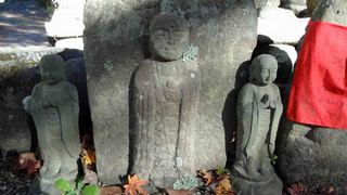 DSC06169.jpg