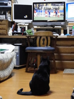 DSC07560.JPG