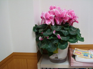 DSC07569.JPG