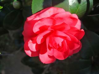 DSC07824.jpg
