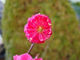 DSC07827.jpg