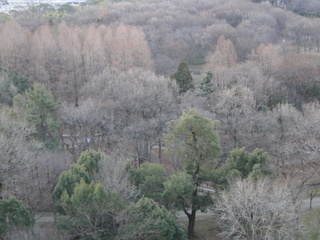 DSC08015.JPG