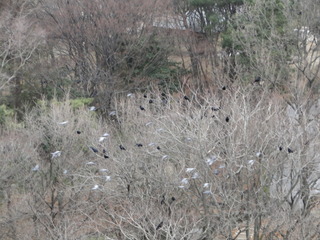 DSC08037.JPG