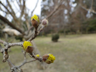 DSC08316.JPG