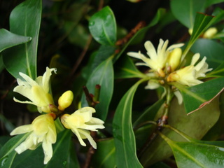 DSC09374.JPG