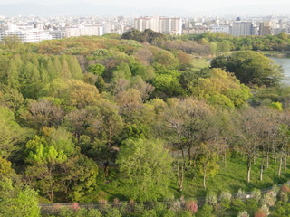 DSC09435.JPG