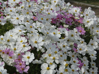 DSC09829.JPG